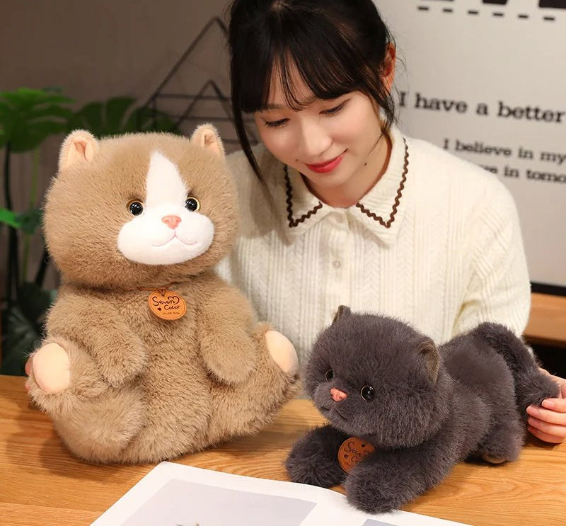 Cuddly Cat Friends Soft Plush Toys
