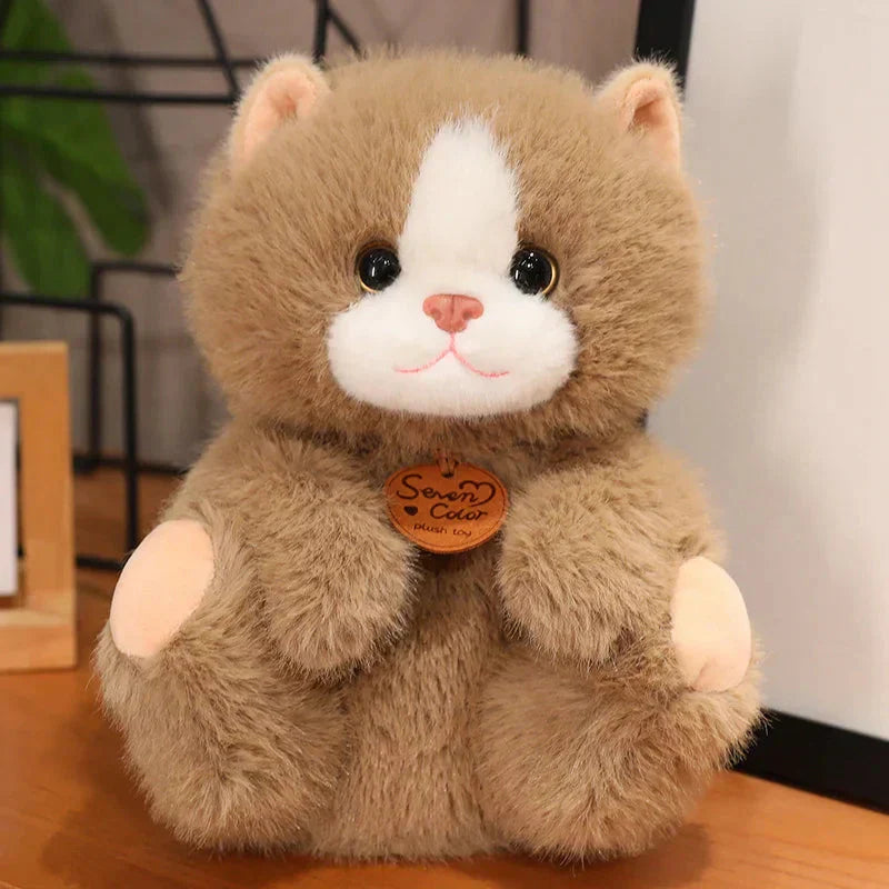 Cuddly Cat Friends Soft Plush Toys
