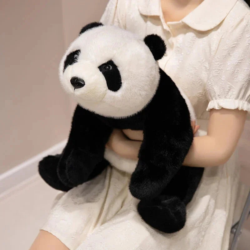 Cute Soft Brown Panda Teddy Plush Toys