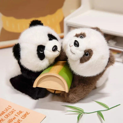 Cute Soft Brown Panda Teddy Plush Toys - Befez