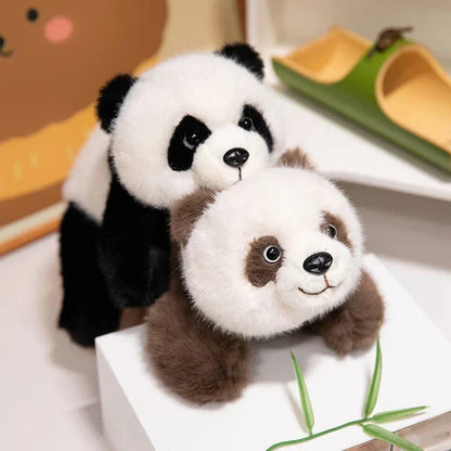 Cute Soft Brown Panda Teddy Plush Toys