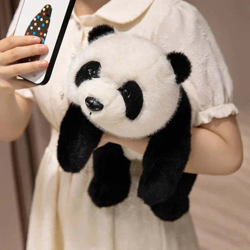 Cute Soft Brown Panda Teddy Plush Toys