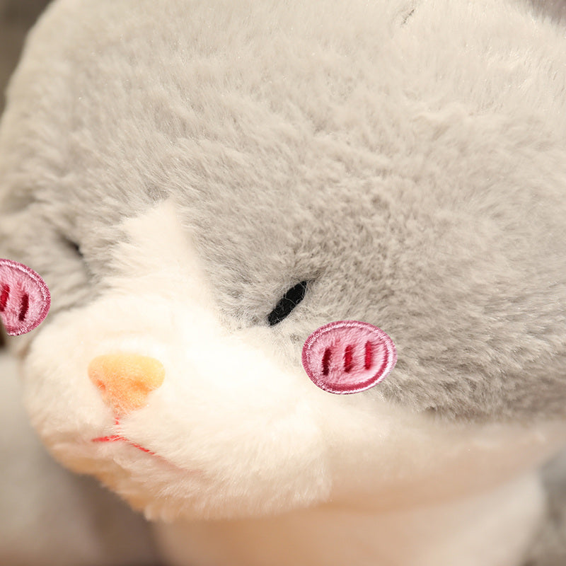 Adorable Grey Cat Shark Stuffed Animal Toy - Befez