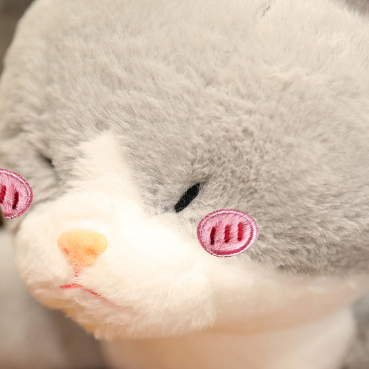 Adorable Grey Cat Shark Stuffed Animal Toy - Befez