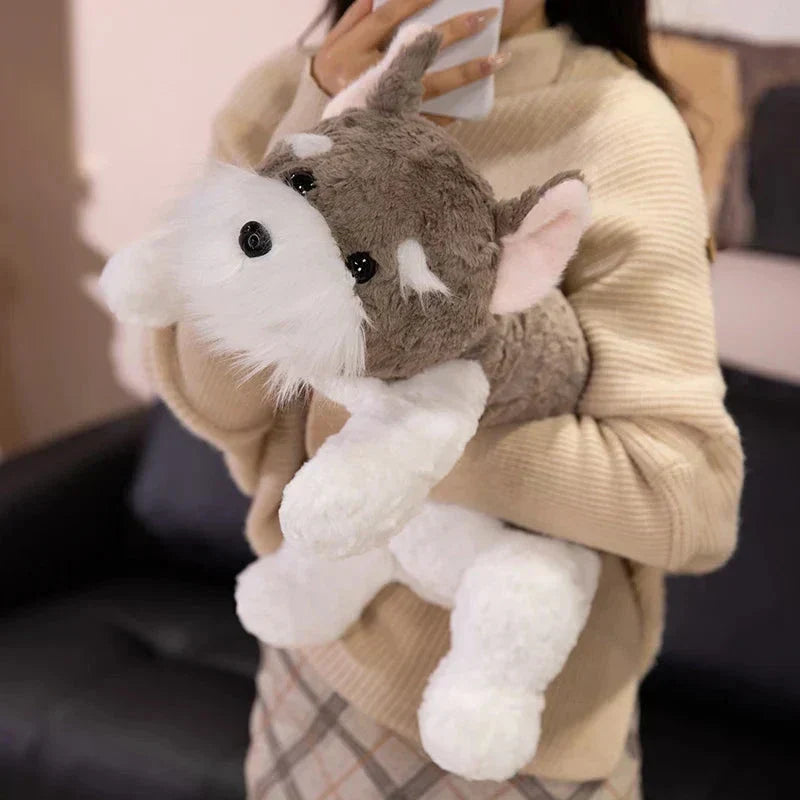 Cute Schnauzer Dog Soft Toys - Befez