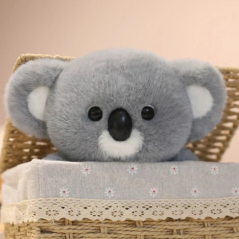 Cute Koala Soft Plush Toy