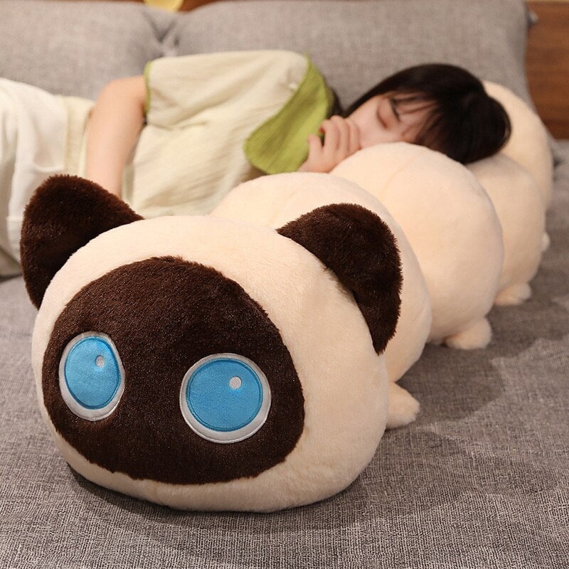 Soft Cuddly Kitten Plush Toys
