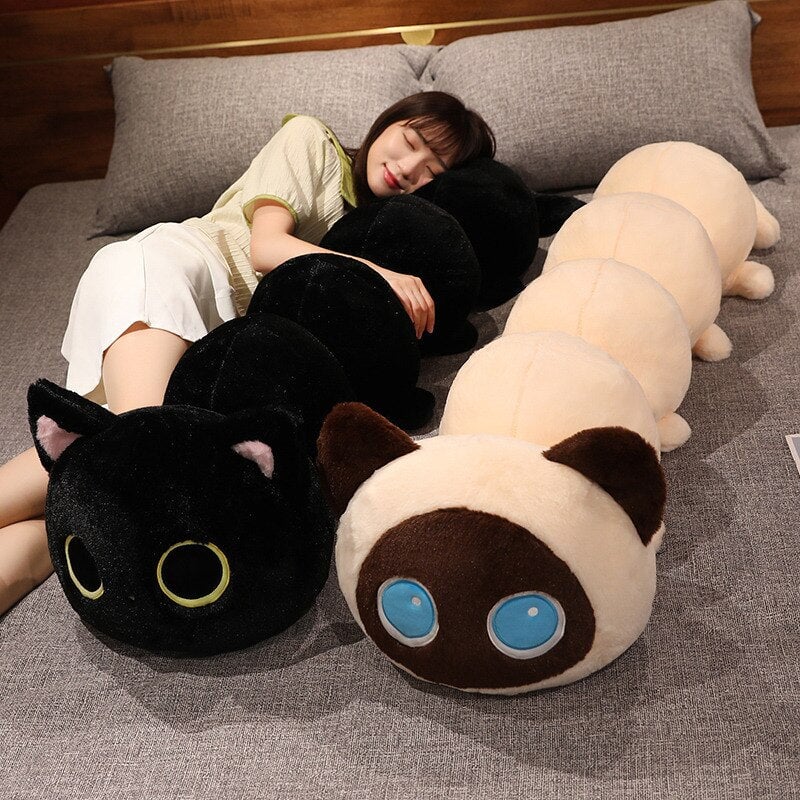 Soft Cuddly Kitten Plush Toys
