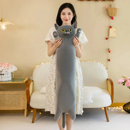 Cuddly Cat Plush Toys Collection