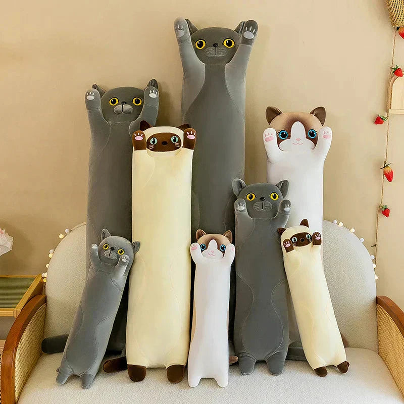 Cuddly Cat Plush Toys Collection