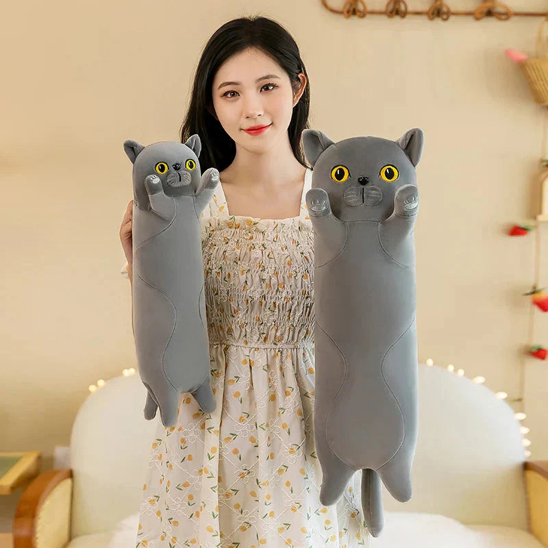 Cuddly Cat Plush Toys Collection