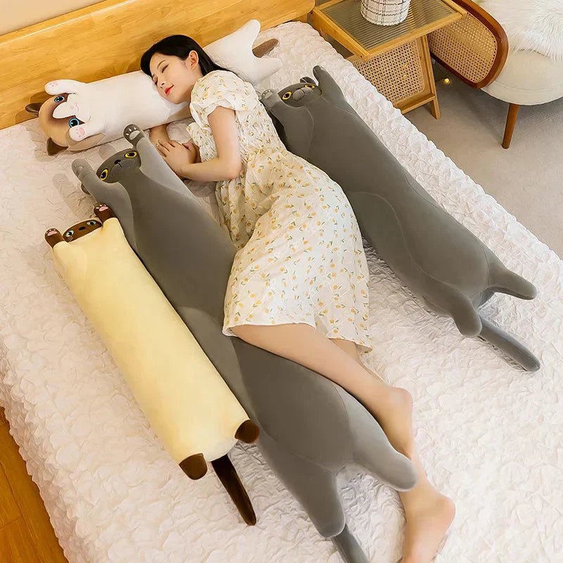 Cuddly Cat Plush Toys Collection