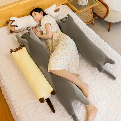 Cuddly Cat Plush Toys Collection