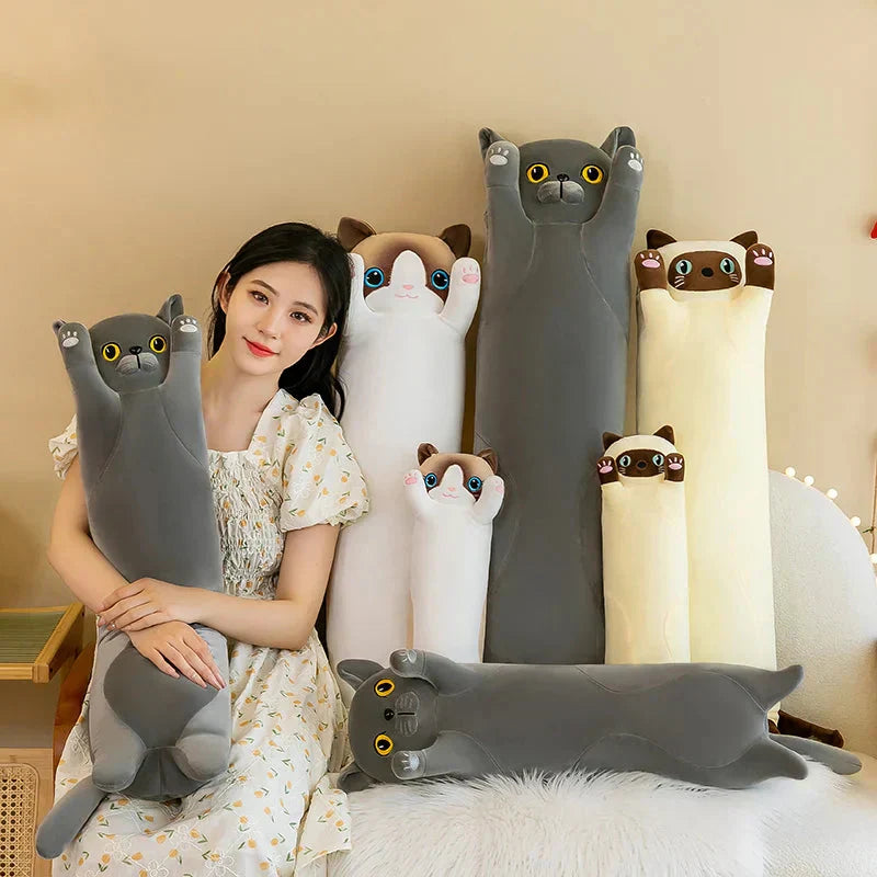 Cuddly Cat Plush Toys Collection