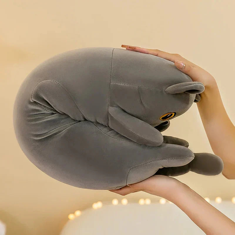 Cuddly Cat Plush Toys Collection - Befez