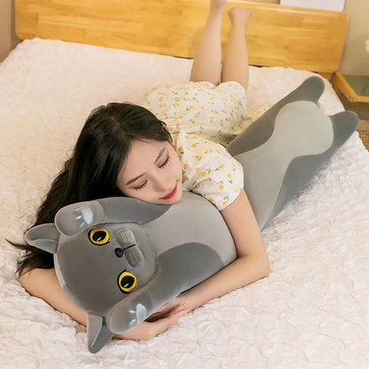 Cuddly Cat Plush Toys Collection