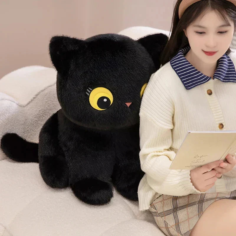 Cuddly Cat Soft Plush Toys