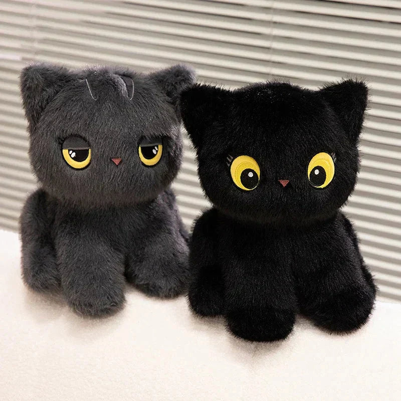 Cuddly Cat Soft Plush Toys - Befez
