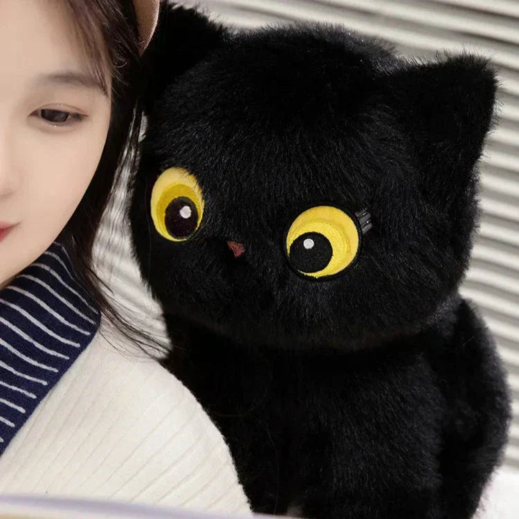 Cuddly Cat Soft Plush Toys