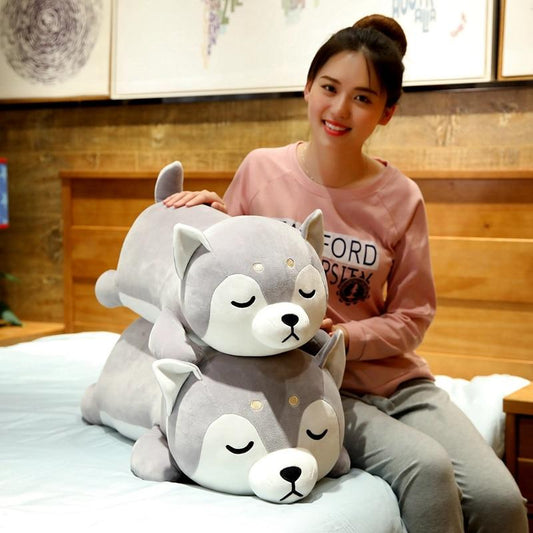 Cuddly Husky Teddy Plush Toy - Befez