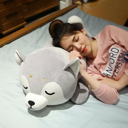 Cuddly Husky Teddy Plush Toy