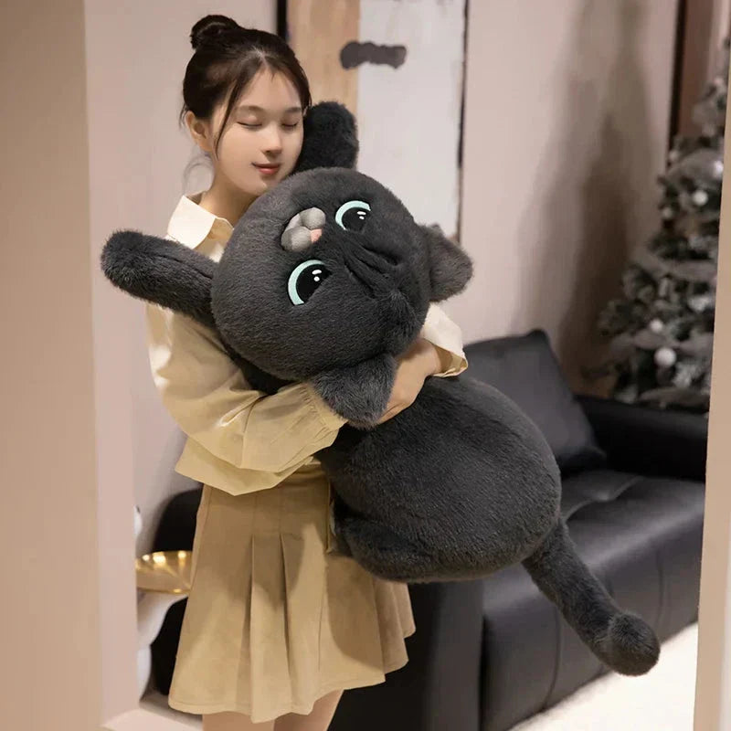 Cuddly Cat Soft Toy Plush Friends - Befez
