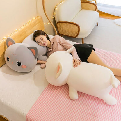 Cute Momo & Nala Kitten Soft Plush Toys - Befez