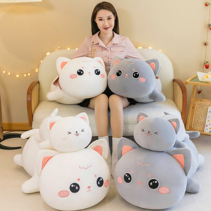 Cute Momo & Nala Kitten Soft Plush Toys