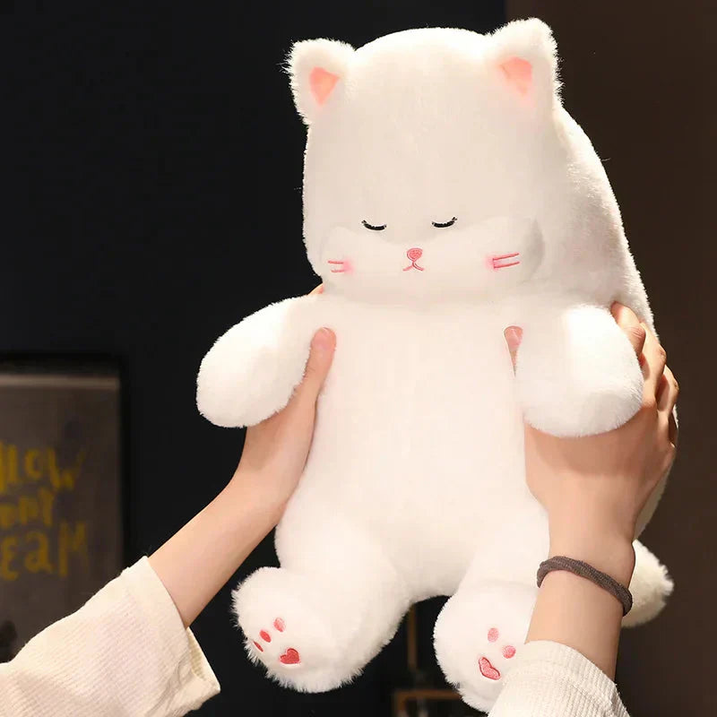Soft Cuddly Kitten Plush Toy