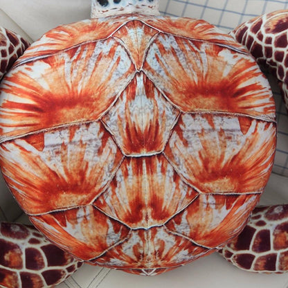 Cute Sea Turtle Soft Toys