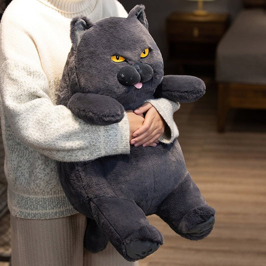 Cute Grumpy Cat Soft Plush Toy - Befez