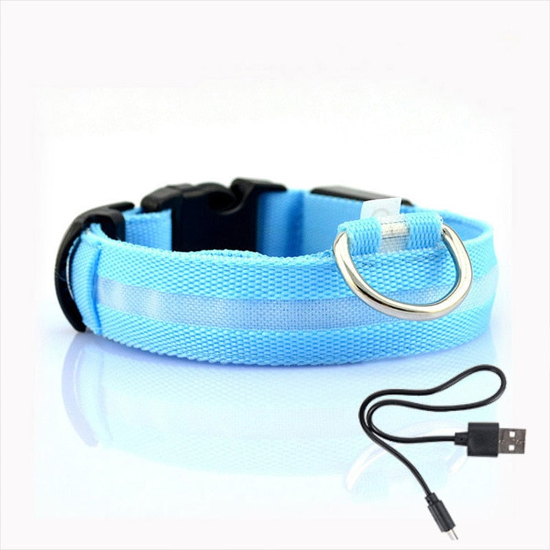 Bright Pet Safety Collar - Befez
