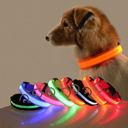 Bright Pet Safety Collar