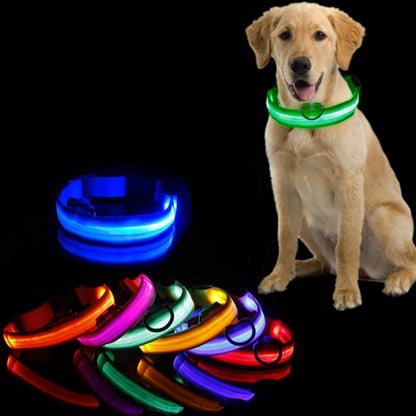 Bright Pet Safety Collar