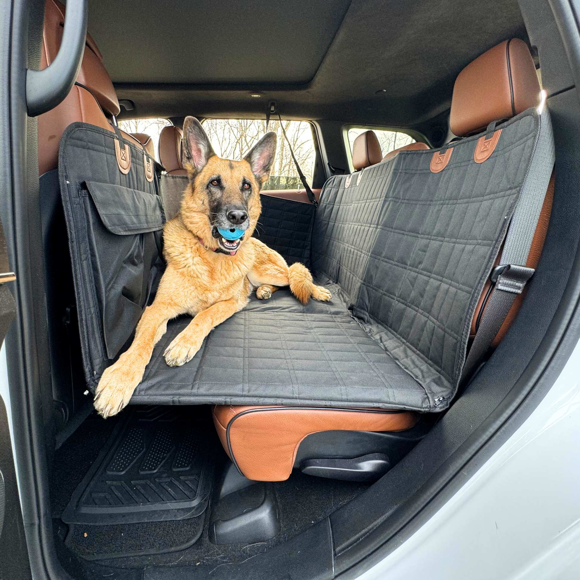 Pet Back Seat Extender with Door Protectors - Befez