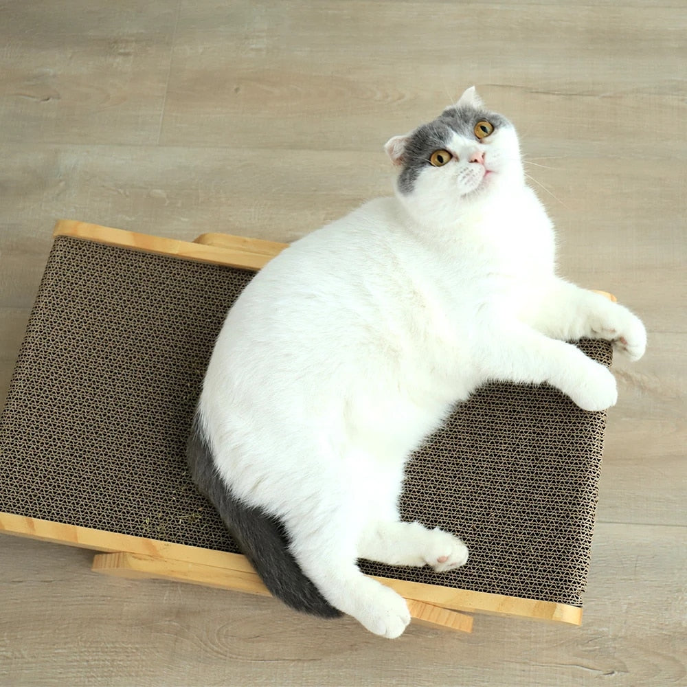 Comfy Kitty Scratching Post Bed