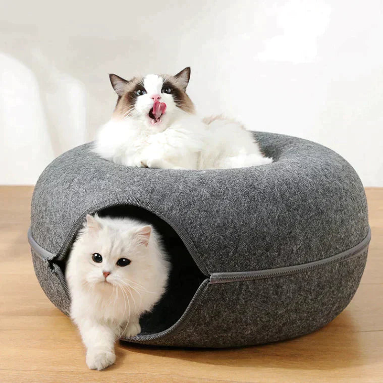Comfy Cat House and Bed