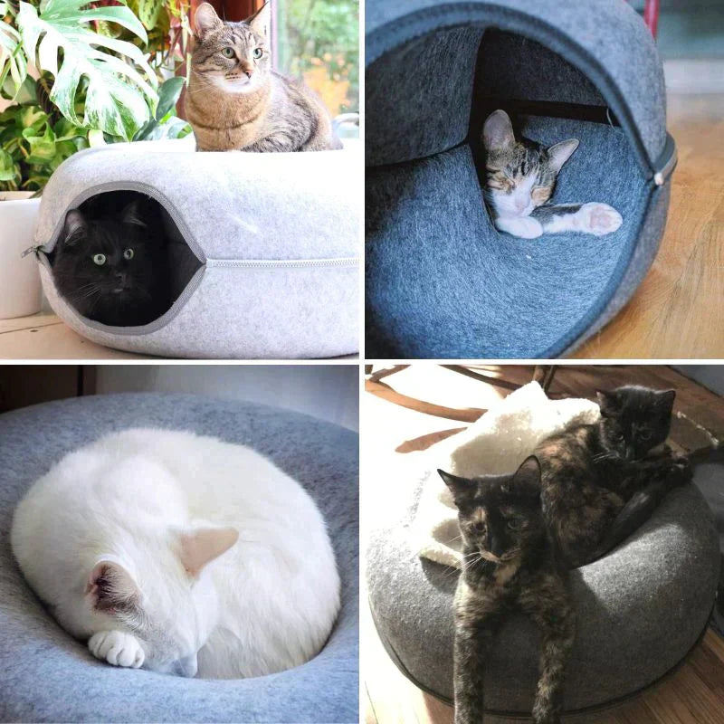 Comfy Cat House and Bed