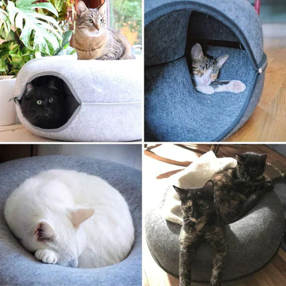 Comfy Cat House and Bed