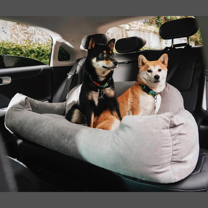 Comfortable Pet Folding Bed - PawsRest Befez - Befez