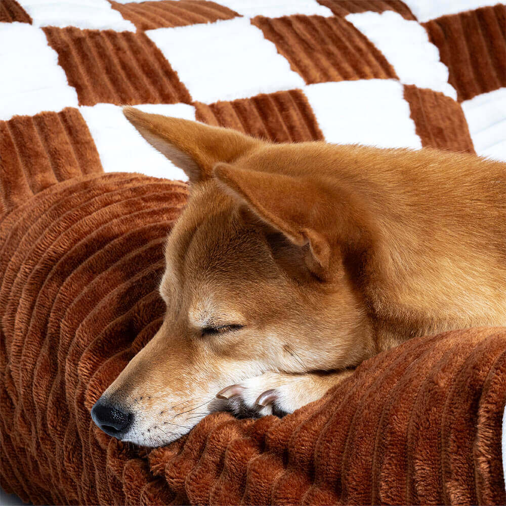Comfy Pet Bed Couch
