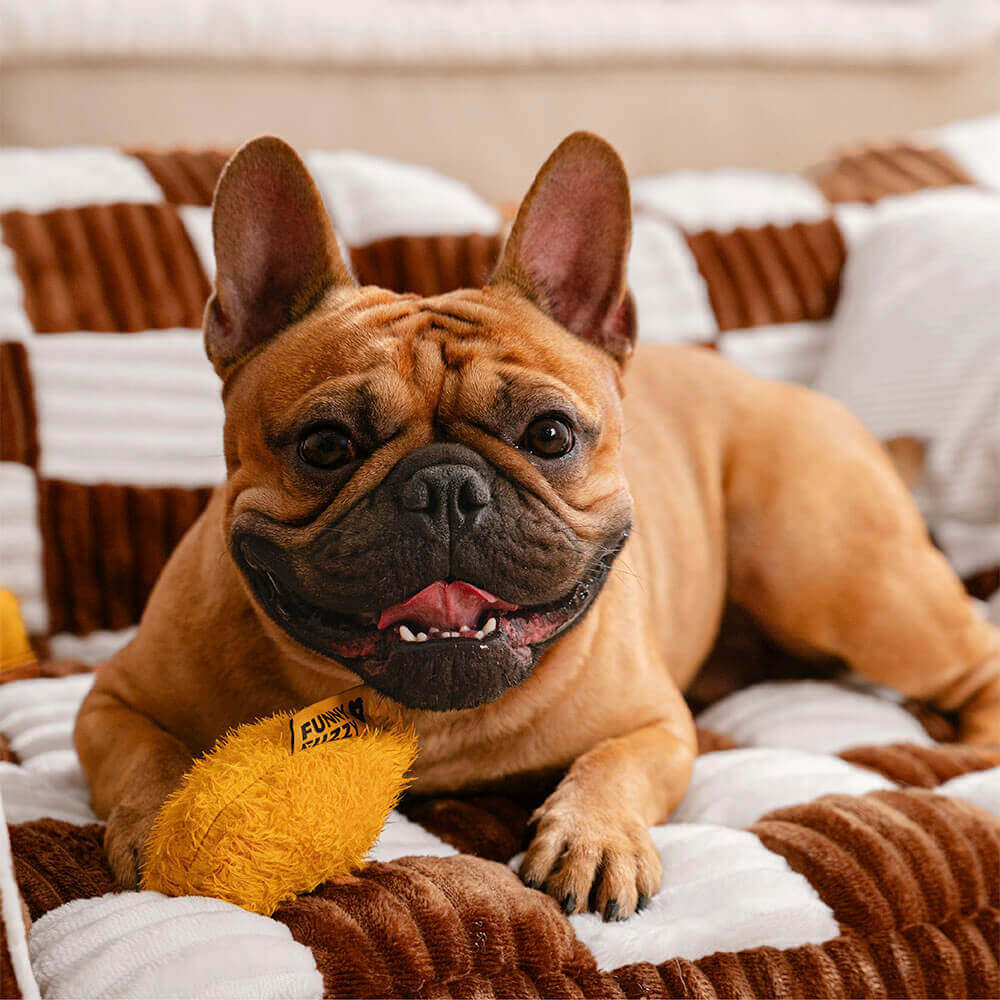 Comfy Pet Bed Couch