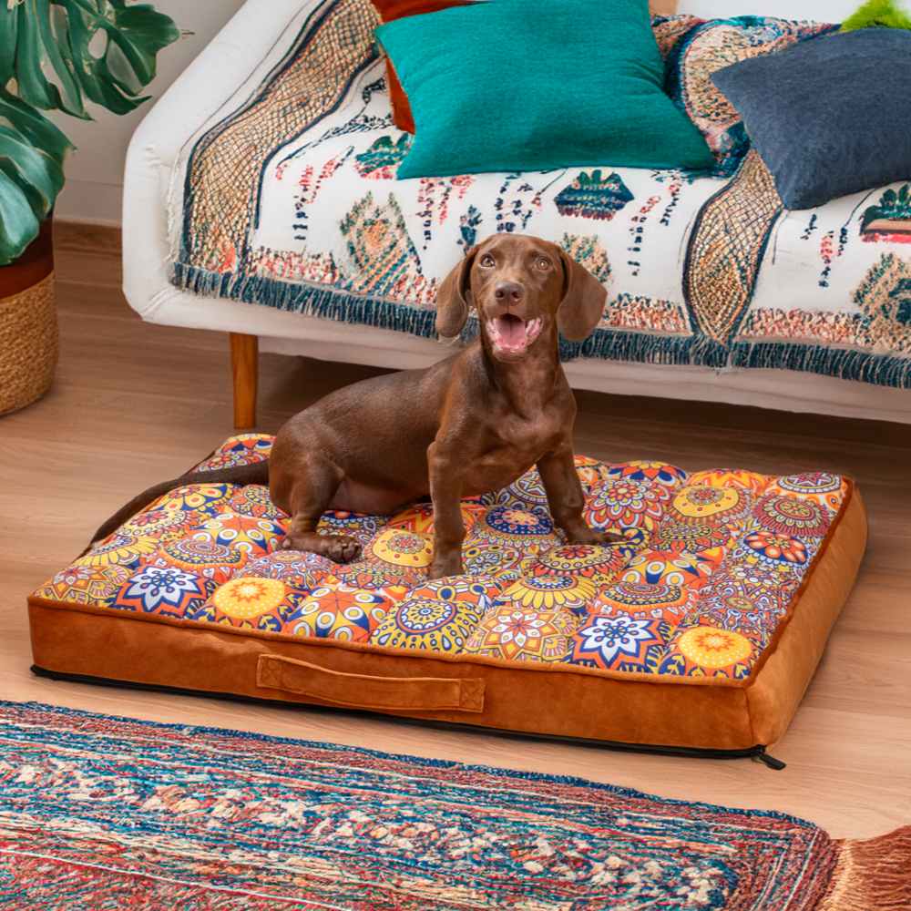 Comfy Moroccan Pet Bed - Casablanca Dream - Befez