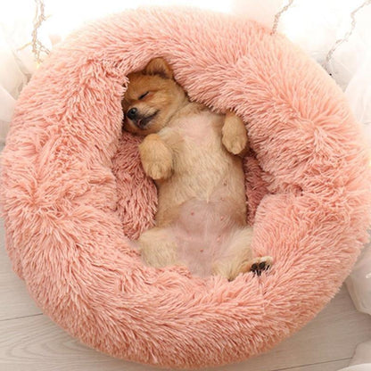 Comfy Cozy Pet Dog Bed - Befez