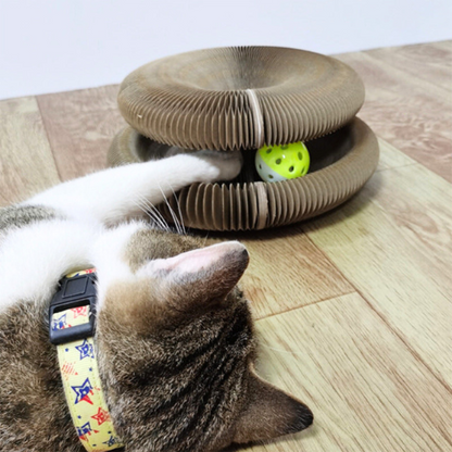 Fun Interactive Cat Toy Ball