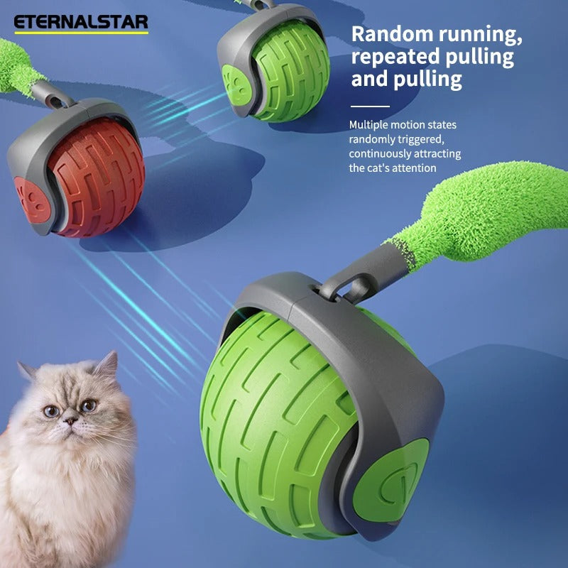 Fun Interactive Cat Rolling Toy - Befez