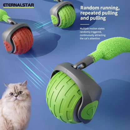 Fun Interactive Cat Rolling Toy - Befez