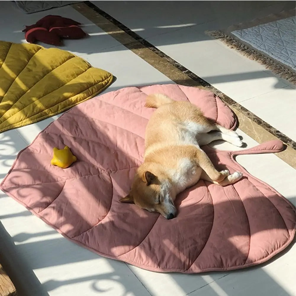 Comfortable Pet Food Mat - Befez