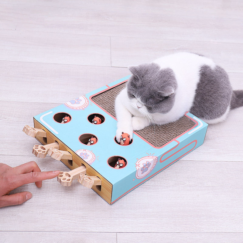 Fun Interactive Cat Toy Box Set - Befez