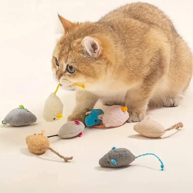 Fun 3/7 Piece Cat Interactive Plush Toy Set - Befez